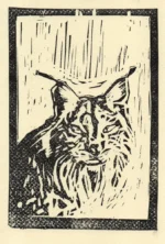 gravura do lince iberico feito a linóleo. Cor preto. Postal ou gravura com o tema de gaivotas a voar pelo mar. Cor preto. Feito por wait4art, arte feita por nós especialmente para ti! wait4art.pt