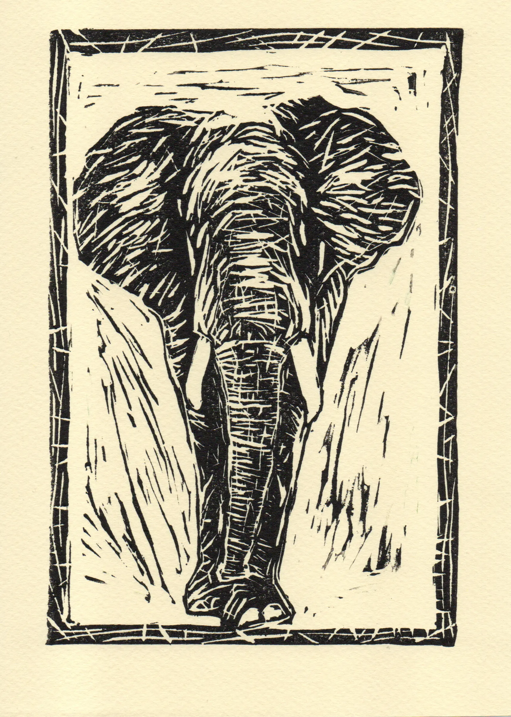 elefante-gravura-wait4art-preto-arte-postal Gravura ou postal de elefante em linoleo. Cor preto. Feito por wait4art, arte feita por nós especialmente para ti! wait4art.pt